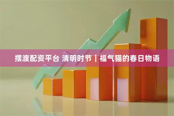 摆渡配资平台 清明时节｜福气猫的春日物语